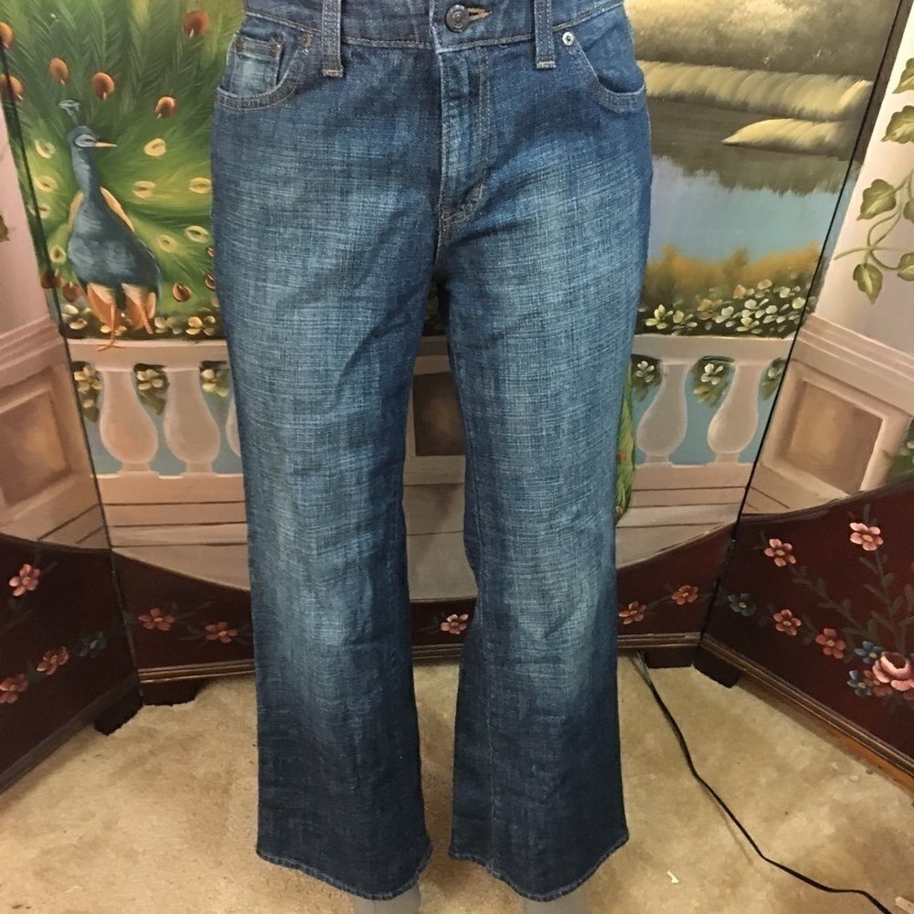 Classic Blue Women's Jeans - Straight Leg
